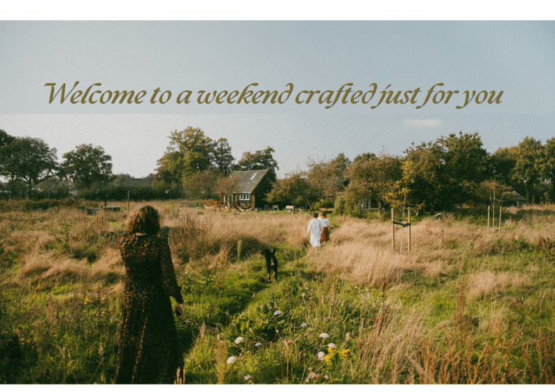 The Autumn Grounding: Ayurvedic Care for Women